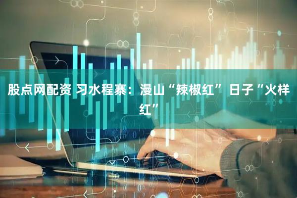 股点网配资 习水程寨：漫山“辣椒红” 日子“火样红”
