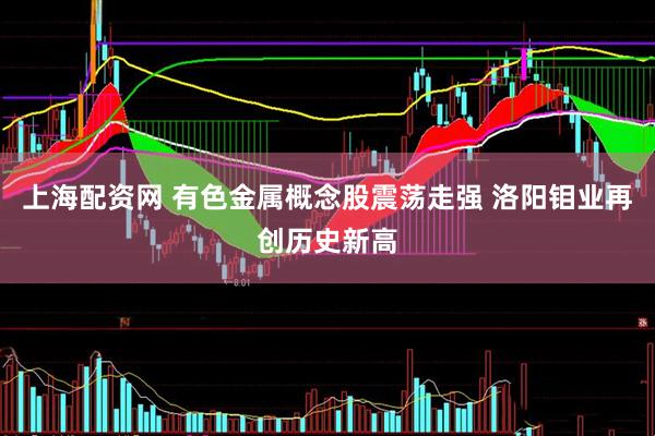 上海配资网 有色金属概念股震荡走强 洛阳钼业再创历史新高