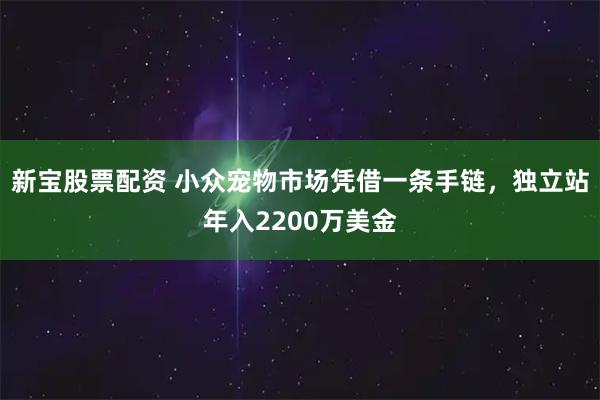 新宝股票配资 小众宠物市场凭借一条手链，独立站年入2200万美金