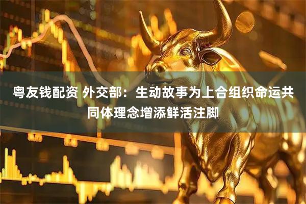 粤友钱配资 外交部：生动故事为上合组织命运共同体理念增添鲜活注脚