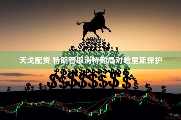 天戈配资 特朗普取消特勤局对哈里斯保护