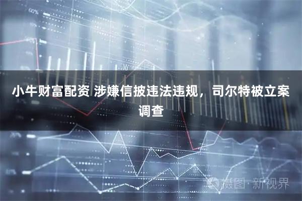 小牛财富配资 涉嫌信披违法违规，司尔特被立案调查