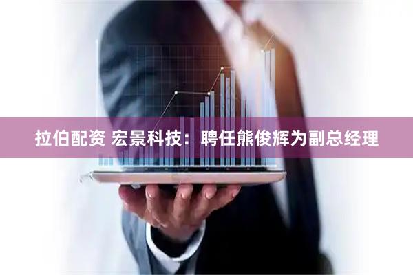 拉伯配资 宏景科技：聘任熊俊辉为副总经理