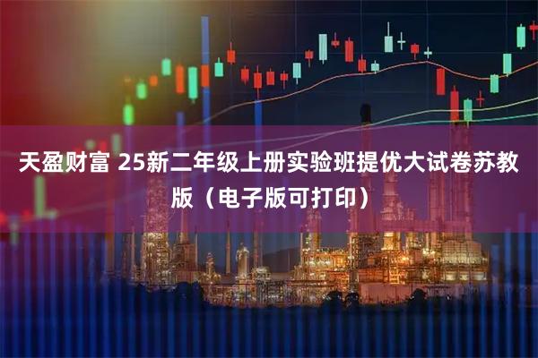 天盈财富 25新二年级上册实验班提优大试卷苏教版（电子版可打印）